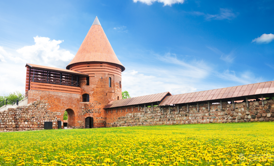 Our weekly selection of the TOP news about Lithuania (24-10-04)