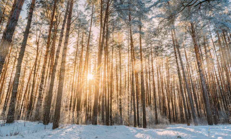 Our weekly selection of the TOP news about Lithuania (25-04-25)